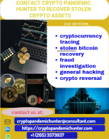 CONTACT CRYPTOPANDEMICHUNTER[@]CONSULTANT[.]COM FOR DIGITAL ASSETS RETRIAVAL