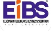 Best Web Development Company in Madurai - EiBS