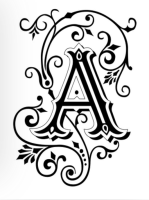 Anant Gaur - Freelance Website Designer & Developer in Gurgaon