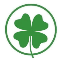 Shamrock Detailing & Ceramic Coating
