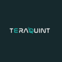 TeraQuint INC | Leading Tech & Strategy Consulting Firm