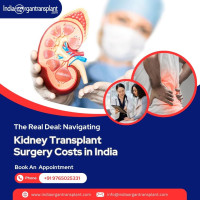 Cheap Cost of Kidney Transplant Surgery in India