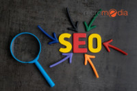 Finding the Right SEO Company in Bangalore for Your Business Growth