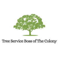 Tree Service Boss of The Colony