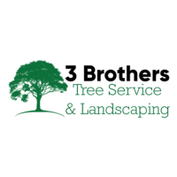 Wood Chipping Services | 3 Brothers Tree Experts