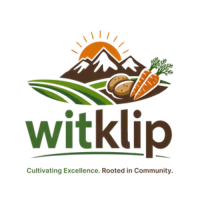 Precision Agriculture Solutions for Sustainable Modern Farming