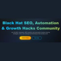 Blackhat SEO Expert: Insights from SEO Experiments