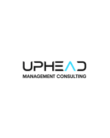 Uphead Management Consulting – Custom Software Development Company