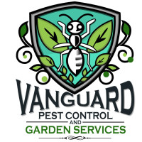 Vanguard Eco Solutions – Eco-Friendly Termite Pest Control Melbourne