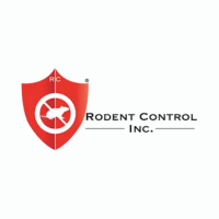 Rodent Control Services in CA | Rodent Control Inc.