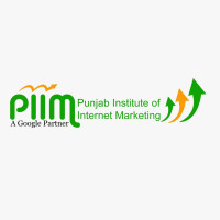 PIIM Website Designing Course in Patiala with Expert Guidance