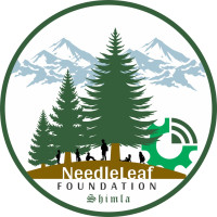 AI-Driven Environmental Sustainability – Needleleaf Foundation