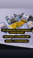 buy nembutal pentobarbital sodium online buy nembutal solution online