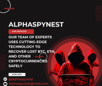 HOW ALPHA SPY NEST HELPED ME RECLAIM MY DIGITAL WEALTH FROM ONLINE SCAMMERS.