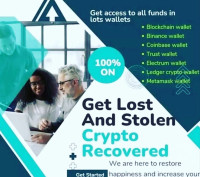 HOW TO TRACK, REPORT, AND RECOVER YOUR STOLEN DIGITAL CURRENCY WITH RUST GEEKS HACK EXPERT