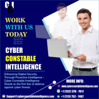 USDT RECOVERY EXPERT; BEST USDT RECOVERY SERVICE CONTACT CYBER CONSTABLE INTELLIGENCE