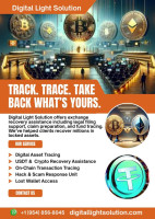 COMMENT ON I NEED A HACKER TO RECOVER STOLEN BITCOIN. HIRE DIGITAL LIGHT SOLUTION