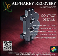 A LICENSED CRYPTO RECOVERY HACKER EXPERT - ALPHA KEY RECOVERY