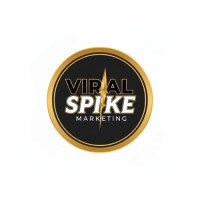 Professional Ad Campaign Management Services | Viral Spike Marketing