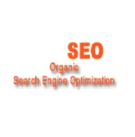 Bali SEO
