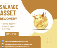 THE BEST AND FASTEST RECOVERY SERVICE- REACH OUT TO SALVAGE ASSET RECOVERY
