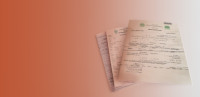 Birth Certificate Nadra - Obtaining a Birth Certificate in Pakistan