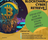BLOCKCHAIN CYBER RETRIEVE//BEST HACKER TO CLAIM BACK MY STOLEN CRYPTO FUNDS