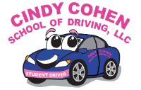 Allegheny Driving School