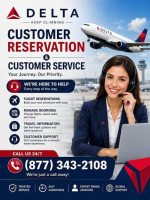 Delta airlines customer service