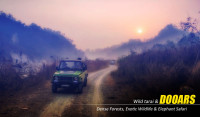 Book Your Dooars Tour Package from Kolkata for an Unforgettable Holiday