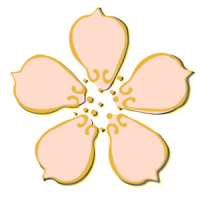 Apple Blossom Flowers