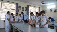Best schools in sikar
