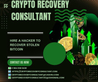SURVIVING THE BYBIT HACK HOW CRYPTO RECOVERY CONSULTANT SECURE MY ASSETS
