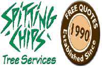Tree Removal in Canberra