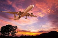 Looking for the best flight deals?