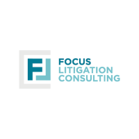 Focus Litigation Consulting LLC