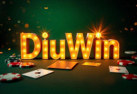 Diuwin – A Distinctive Name for Digital Excellence