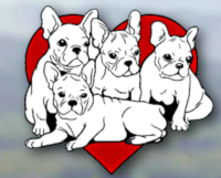 French Bulldogs LA