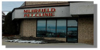 Laser Therapy for Faster Healing and Pain Relief