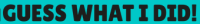 GuessWhatIDid