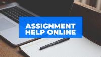 Write My Assignment For Me