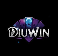 Diuwin Smart Digital Solutions for Modern Success