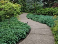 GROUND COVERS: A Crucial Layer of Safety, Sustainability, and Structure