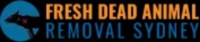 Fresh Dead Animal Removal Sydney