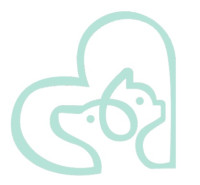Lacoste Pet Hospital Brampton Vet Urgent Care
