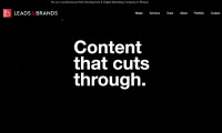 Leads & Brands – Best Digital Marketing Company in Bhopal