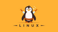 Learn Linux Fundamentals with Practical Training