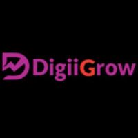 digiigrow digital marketing