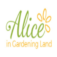 London Alice In Gardening Land