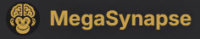 MegaSynapse